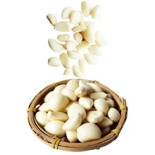 New Condition Garlic Skinning Machine Food Processor for Peeling Vegetables for Home Restaurant Farm Use l'atelier des ustensiles