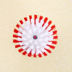 Brosse à récurer la vaisselle avec poils rigides – Brosse de nettoyage de cuisine pour casseroles et poêles l'atelier des ustensiles