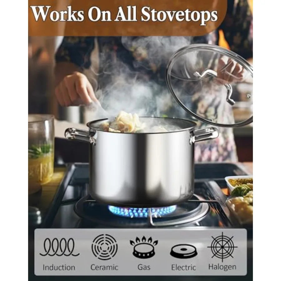 Marmite SinleSteel avec couvercle, 6 quarts, triple revêtement, pour cuisson à induction, argent l'atelier des ustensiles